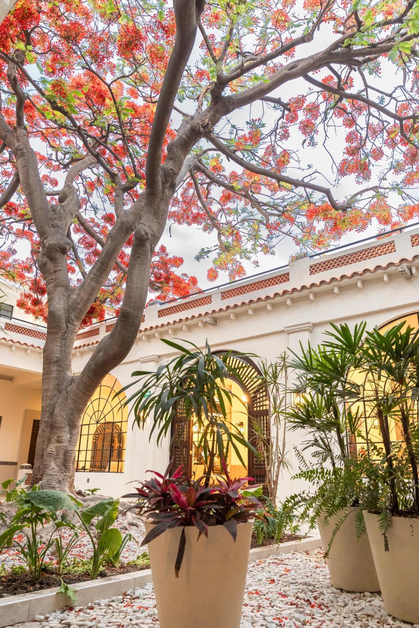 Gran Hotel Mexico By Solaris Tehuacán Exterior foto